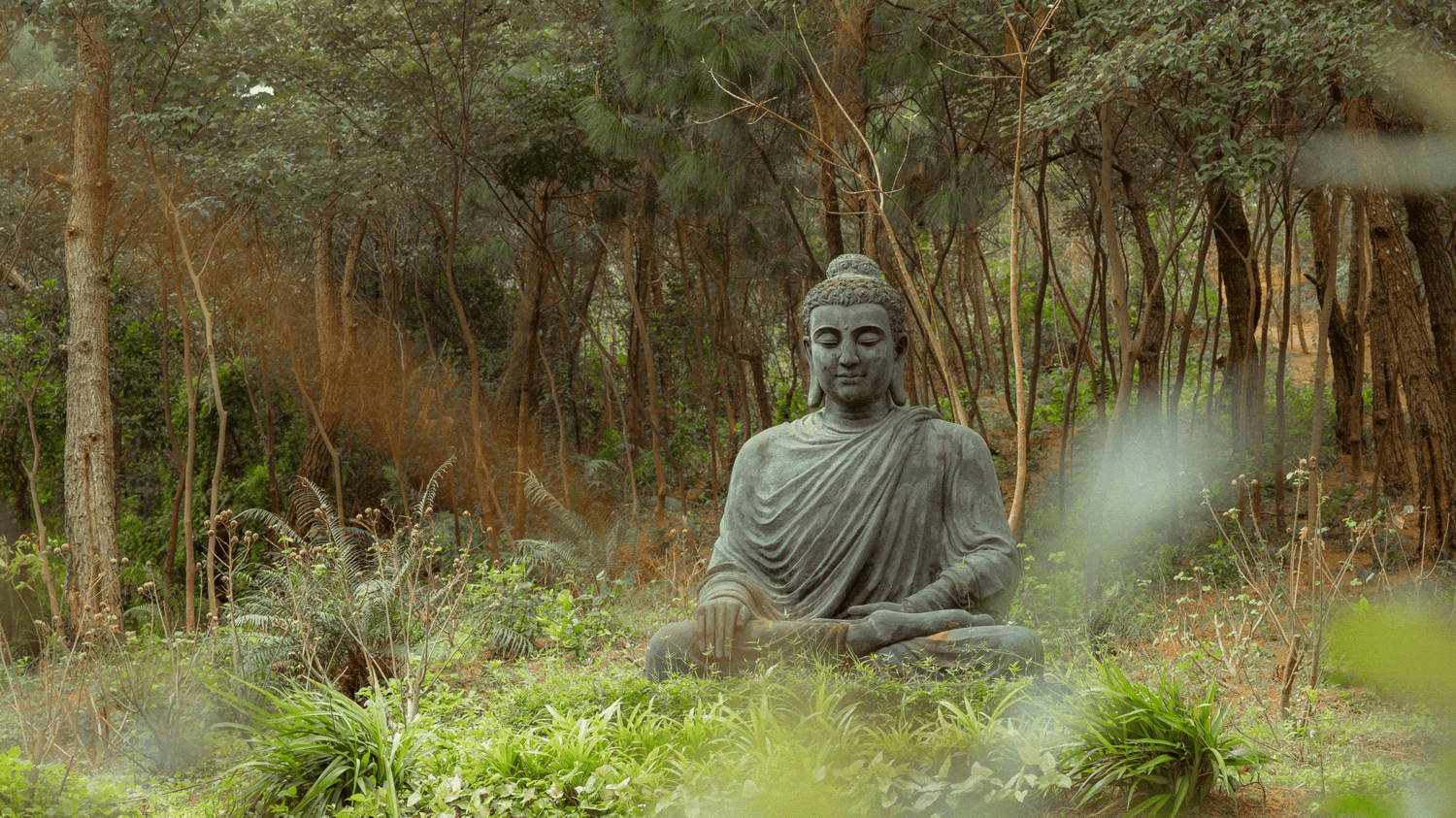 Buddha nel bosco